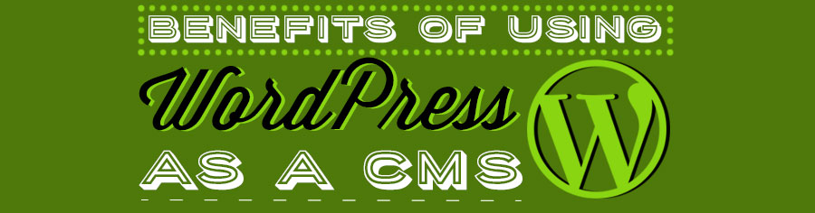 BNG Design Presents: Benefits of Using WordPress as a CMS