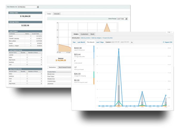 E Commerce Reporting Customized BNG Design West Fargo